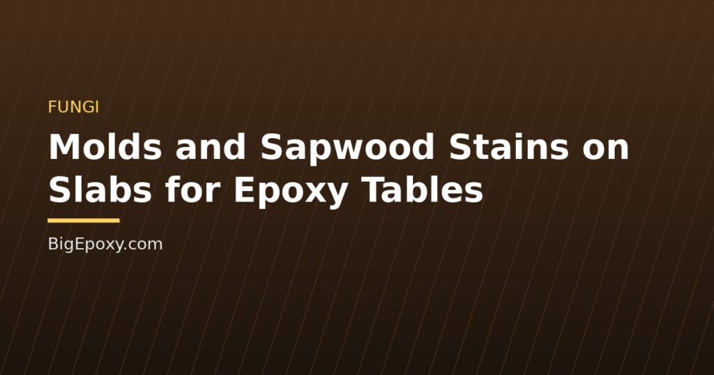 Molds and Sapwood Stains on Slabs for Epoxy Tables