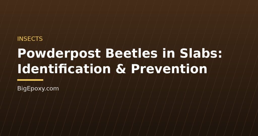 Powderpost Beetles in Slabs: Identification & Prevention