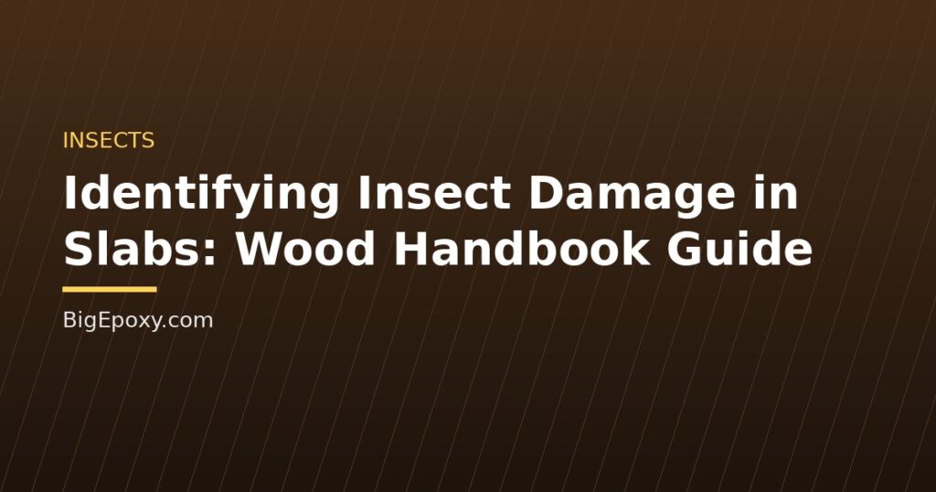 Identifying Insect Damage in Slabs: Wood Handbook Guide